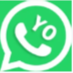 yo whatsapp